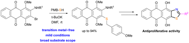 Graphical abstract: Synthesis and antiproliferative activity of thiazole-fused anthraquinones