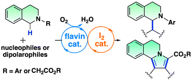Graphical abstract: Aerobic oxidative C–C bond formation through C–H bond activation catalysed by flavin and iodine