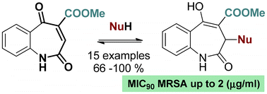Graphical abstract: A novel 1-benzoazepine-derived Michael acceptor and its hetero-adducts active against MRSA