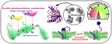 Graphical abstract: An unprecedented double photoexcitation mechanism for photoswitching in conjugated-dienes to trigger physiological processes for photopharmacology