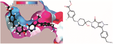 Graphical abstract: Computational analysis of energetic features and intermolecular interactions in protein-inhibitor USP7 complexes