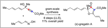 Graphical abstract: Scalable synthesis of (±)-gregatin A via a 1,3-dipolar cycloaddition strategy