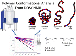 Graphical abstract: Polymer conformation determination by NMR spectroscopy: comparative diffusion ordered 1H-NMR spectroscopy of poly(2-ethyl-2-oxazoline)s and poly(ethylene glycol) in D2O