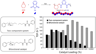 Graphical abstract: Controlled ring-opening copolymerization of epoxides and cyclic anhydrides through bifunctional thiourea–quaternary ammonium salt catalysts
