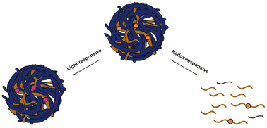 Graphical abstract: Dual-responsive nanoparticles constructed using light- and redox-responsive linkages