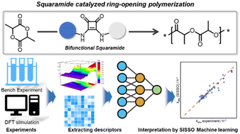 Graphical abstract: Interpretable machining learning assisted insights into bifunctional squaramide catalyzed ring-opening polymerization of lactide