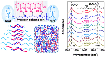Graphical abstract: Structure, humidity adaptivity, and elasticity of hydrogen-bonded complexes formed by self-assembly of a triblock copolymer and a homopolymer