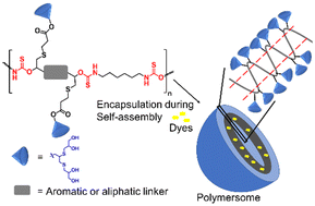 Graphical abstract: Aromatic vs. aliphatic linkers: impact on dye loading and stability in oligoglycerol-derived dendronized polymersomes