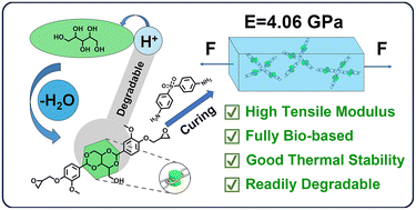 Graphical abstract: Fully bio-based acetal diepoxy monomer with high modulus, good thermal stability and readily degradability