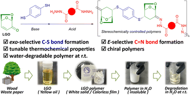 Graphical abstract: Stereoselective polycondensation of levoglucosenone leading to water-degradable biopolymers