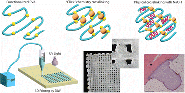 Graphical abstract: 3D printable biopolymers as pelvic floor scaffolds