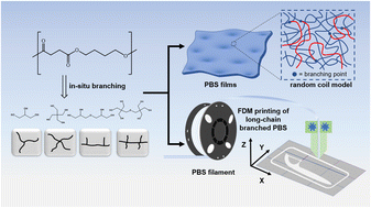 Graphical abstract: Poly(butylene succinate) filaments for fused deposition modelling (FDM) 3D-printing