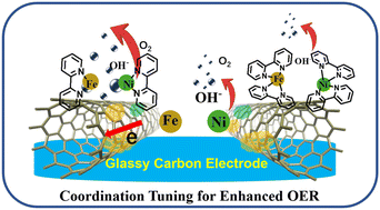 Graphical abstract: Coordination tuning of Ni/Fe complex-based electrocatalysts for enhanced oxygen evolution