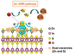 Graphical abstract: ZnIn2S4 nanosheets with tunable dual vacancies for efficient sacrificial-agent-free H2O2 photosynthesis