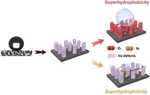 Graphical abstract: On the origin of the surface superhydrophobicity of rough-textured inorganic materials with intrinsic hydrophilicity