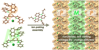 Graphical abstract: Ion-pairing assemblies of anion-responsive helical PtII complexes