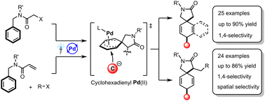 Graphical abstract: Excited Pd-catalyzed dearomative 1,4-dicarbofunctionalization of nonactivated aromatic rings