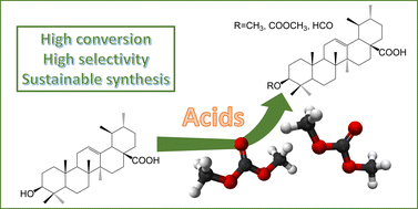 Graphical abstract: Sustainable methods for the carboxymethylation and methylation of ursolic acid with dimethyl carbonate under mild and acidic conditions