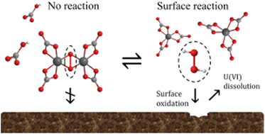 Graphical abstract: The influence of bicarbonate concentration and ionic strength on peroxide speciation and overall reactivity towards UO2