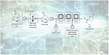 Graphical abstract: Levoglucosenone as a starting material for cascade continuous-flow synthesis of (R)-γ-carboxy-γ-butyrolactone