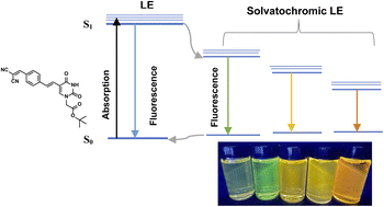 Graphical abstract: Breaking the blue barrier of nucleobase fluorescence emission with dicyanovinyl-based uracil molecular rotor probes