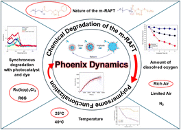 Graphical abstract: Chemical degradation as an enabling pathway to polymersome functionalization