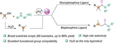 Graphical abstract: Ligand-controlled palladium-catalyzed regiodivergent aminocarbonylation of tert-alcohols