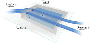 Graphical abstract: Chemical waves in reaction-diffusion networks of small organic molecules