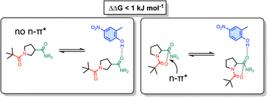 Graphical abstract: Quantification of the effects of n-π* interactions on the H-bonding properties of amide groups