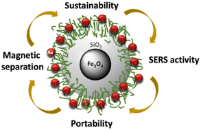 Graphical abstract: Magneto-plasmonic bionanocomposites for on-site SERS detection of water contaminants