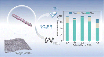 Graphical abstract: Surface doping of cobalt nanoparticles by selenium anion to steer the selectivity in electrocatalytic nitrate reduction