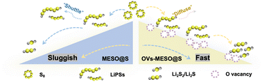Graphical abstract: Harnessing medium entropy and oxygen defects in spinel ferrite cathodes for enhanced cycling performance in lithium–sulfur batteries