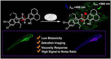 Graphical abstract: A novel high signal-to-noise ratio fluorescent probe for real-time mitochondrial viscosity detection and imaging in vitro and in vivo
