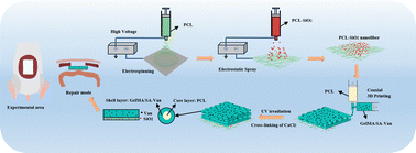 Graphical abstract: 3D printing/electrospinning of a bilayered composite patch with antibacterial and antiadhesive properties for repairing abdominal wall defects