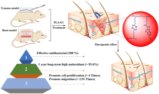 Graphical abstract: One-pot rapid preparation of long-term antioxidant and antibacterial biomedical gels based on lipoic acid and eugenol for accelerating cutaneous wound healing