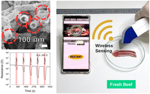 Graphical abstract: Development of low-temperature SnO2–Au gas sensors for H2S detection in food freshness monitoring