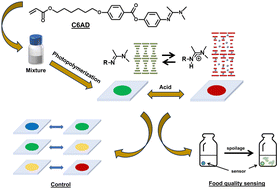 Graphical abstract: Incorporating amidine groups into photonic cholesteric polymer networks for food quality sensing
