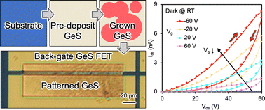 Graphical abstract: Synthesis of submillimeter-scale laterally-grown germanium monosulfide thin films and their electro-optic applications