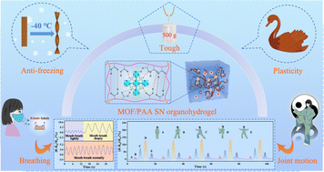 Graphical abstract: A metal–organic framework enhanced single network organohydrogel with superior low-temperature adaptability and UV-blocking capability towards human-motion sensing