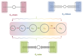 Graphical abstract: Nonlinear transport behaviors in anti-aromatic cyclo[n]carbon-based (n = 4k) molecular devices