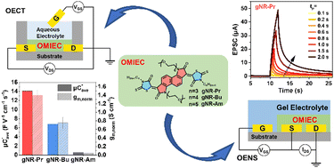 Graphical abstract: Modulating crystallinity and mixed ionic–electronic conduction properties via terminal side chain engineering of n-type small molecules