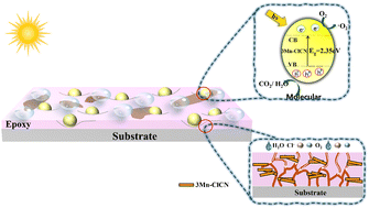 Graphical abstract: Preparation of PDMS-modified epoxy composite coatings by Mn/Cl co-doping of g-C3N4 and their enhanced photocatalytic activity and aging resistance