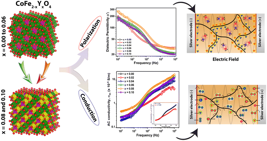 Graphical abstract: Frequency and temperature dependent dielectric properties of CoFe2−xYxO4: polarization and conduction mechanisms related to crystallographic symmetry and electronic transitions