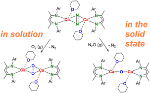 Graphical abstract: Low-coordinate calcium peroxide and oxide complexes