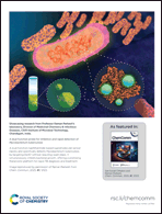 Graphical abstract: Back cover