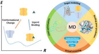Graphical abstract: Molecular dynamics-driven drug discovery