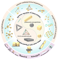 Graphical abstract: DNA-mediated precise regulation of SERS hotspots for biosensing and bioimaging
