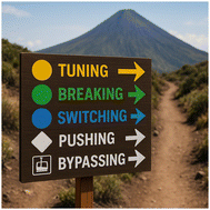Graphical abstract: Twenty years after: scaling relations in oxygen electrocatalysis and beyond