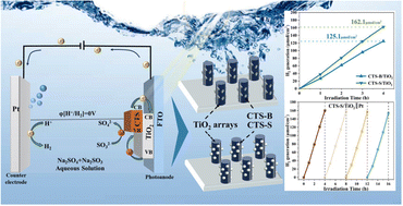 Graphical abstract: Morphology-controlled Cu2SnS3 quantum dot-sensitized solar PEC cells for efficient hydrogen production
