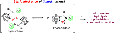 Graphical abstract: Carboranyl diphosphenes: synthesis, structure and reactivity